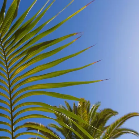 Jumilla Vista Mar 23 * Playa del Ingles (Gran Canaria)