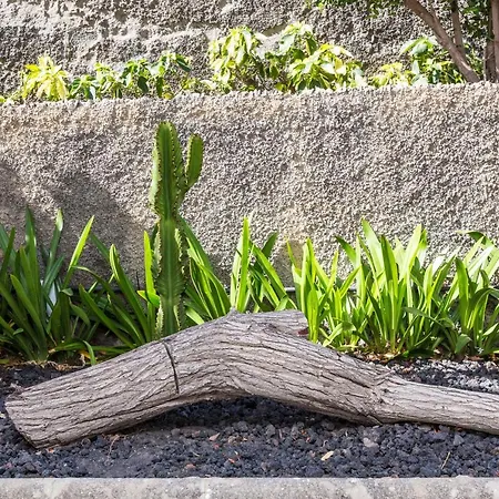 Jumilla Vista Mar 23 דירה