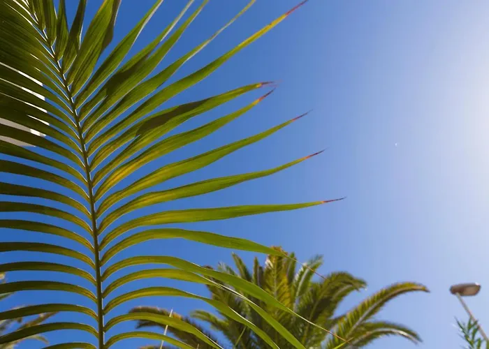 Jumilla Vista Mar 23 * Playa del Ingles (Gran Canaria)